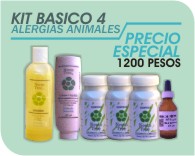 1basico4.jpg