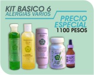 1basico6.jpg