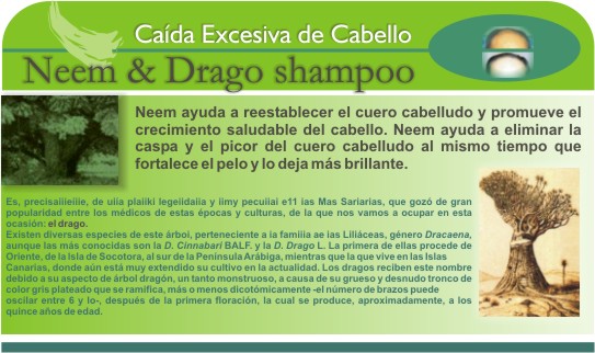 shampo_y_drago.jpg